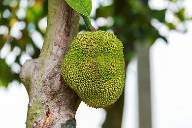 蝙蝠侠配音演员凯文·康罗伊去世 享年66岁